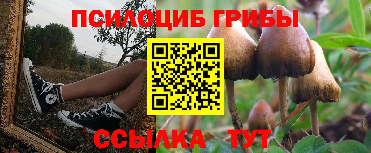 Энгельс  Галлюциногенные грибы Magic Shrooms  как найти   Галлюциногенные грибы Psilocybine cubensis  Вход с VPN 